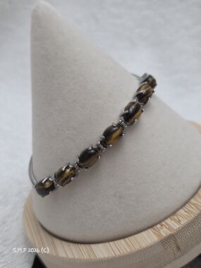 South African Tiger's Eye Bolo Bracelet in Stainless Steel